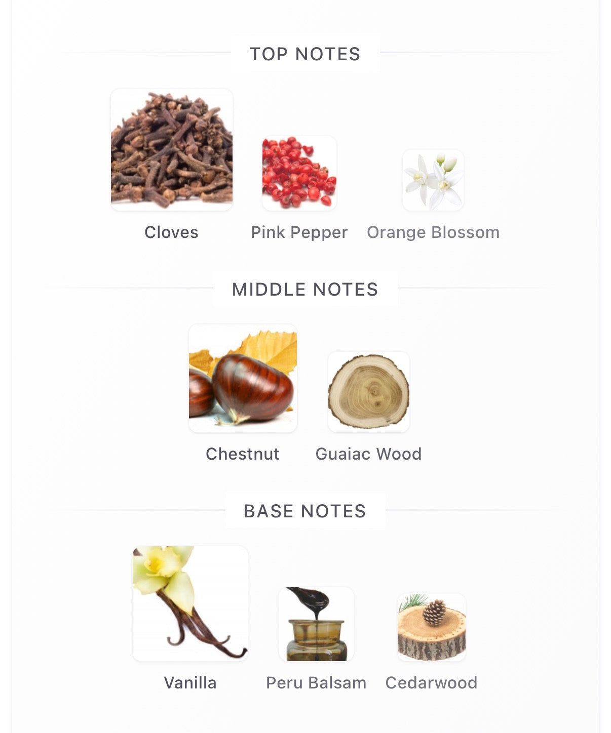 15ML Dossiers Woody Chestnut